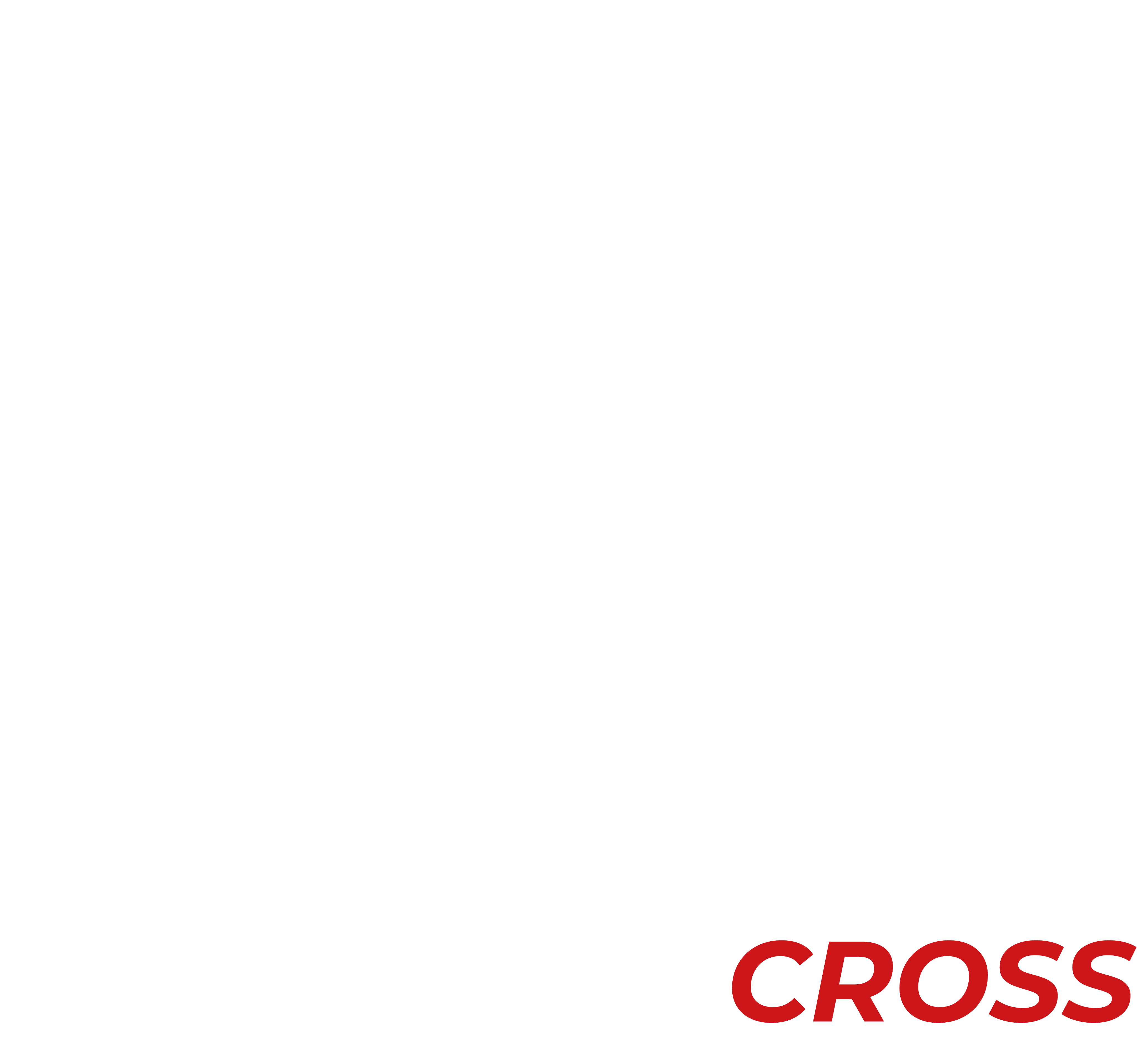 Imperium Cross Logo